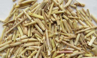 茅根草能煮水洗澡吗 茅根草能不能煮水洗澡