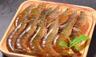 海鲜暂时不吃怎么保存好 海鲜暂时不吃如何保存好