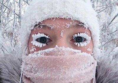 世界上最冷的地方是哪里 全球最冷的地方在南极还是北极