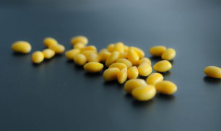 大豆是凉性还是热性 大豆属于凉性还是热性的呢