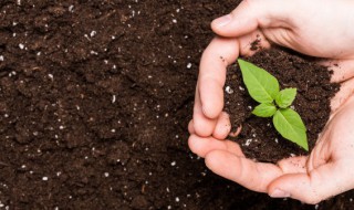 过期化肥有什么用途吗 化肥过期了还能用吗