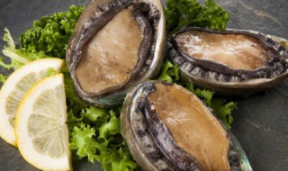 鲍鱼的正确炖法 鲍鱼怎么炖好吃又简单