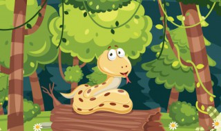 梦到白蛇是什么意思 梦到白蛇代表什么