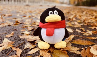 三种qq聊天记录恢复方法 qq恢复聊天记录两种方法