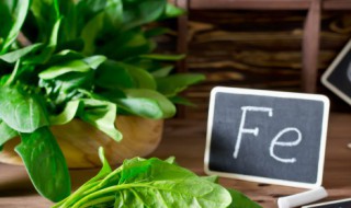 熬菠菜的家常做法 熬菠菜怎么做