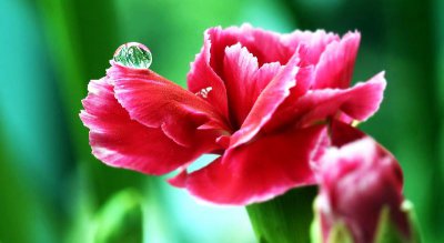 怎样让白羊男越来越离不开你 怎么拿捏白羊座男生