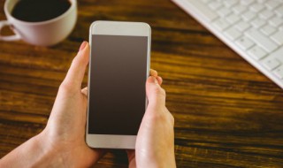 水冰月是什么 水冰月的简介