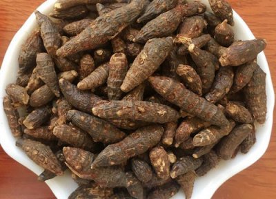 附子泡水喝 附子可以泡水喝吗