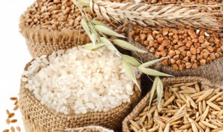 为什么粮食容易产生谷虫 粮食容易产生谷虫的原因