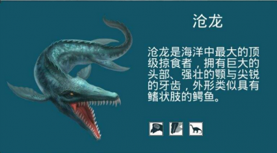 沧龙有多大体型 海洋霸主霍夫曼沧龙是怎么进化来的