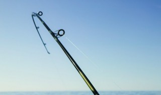 怎样判断黑坑钓鱼好坏 判断黑坑钓鱼好坏的方法