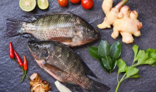 鱼不能和什么东西同吃 鱼不可以和什么食物同吃