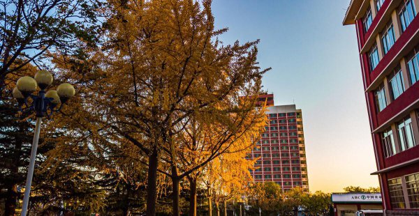 山东大专学校推荐