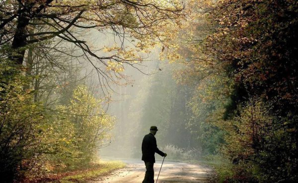 子女为什么不能对老人太孝顺