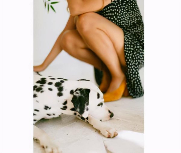 黑的人穿什么颜色显白