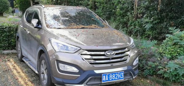 汽车打蜡有什么好处坏处