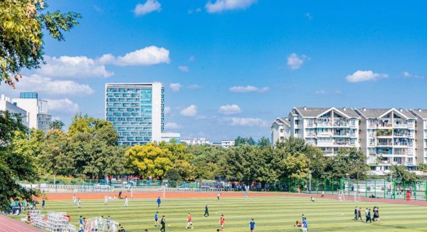 西南大学是985还是211高校