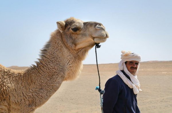 摩洛哥是黑人还是白人