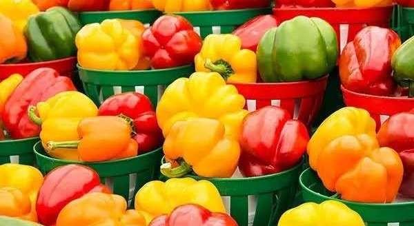 中国十大最辣辣椒排名图片