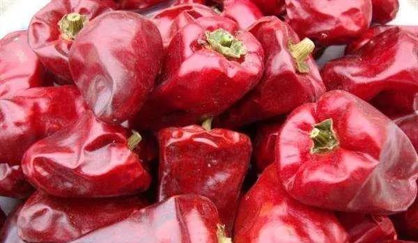 中国十大最辣辣椒排名图片