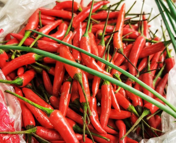 中国十大最辣辣椒排名图片