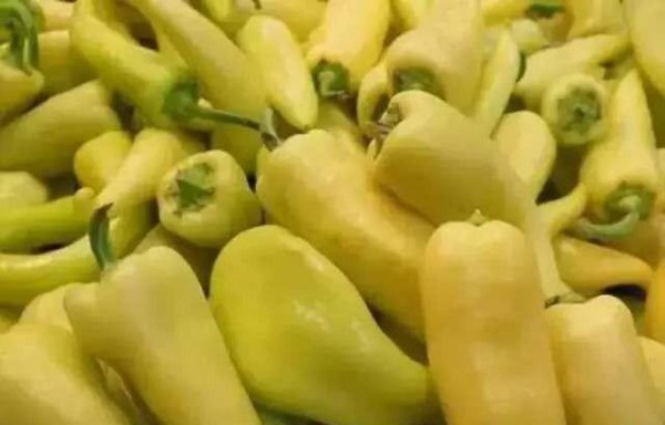 中国十大最辣辣椒排名图片