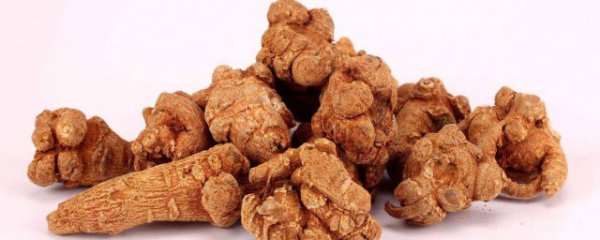 三七好坏怎么分辨好坏