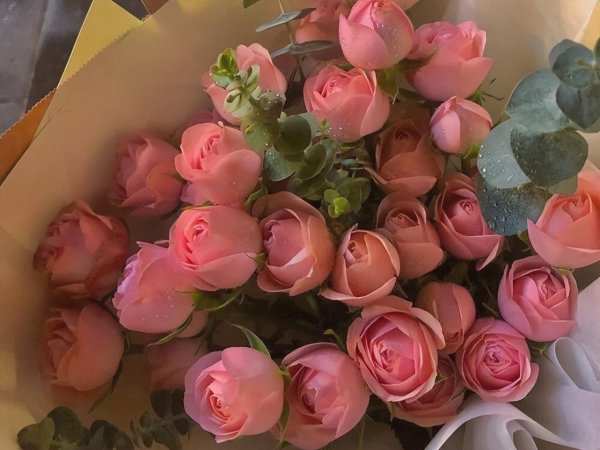 水瓶专治哪个星座