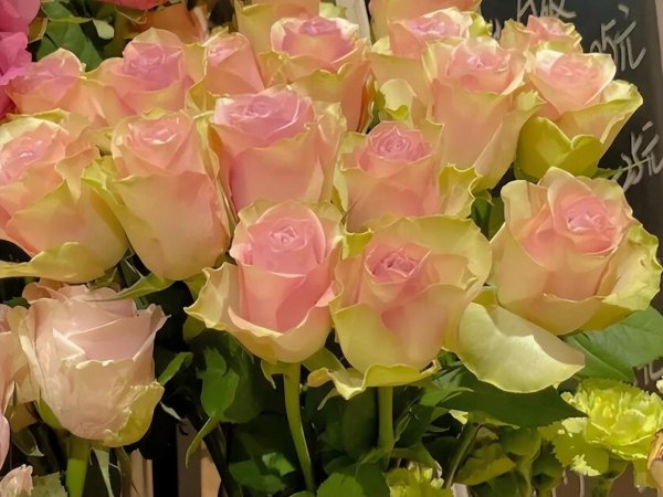 水瓶专治哪个星座