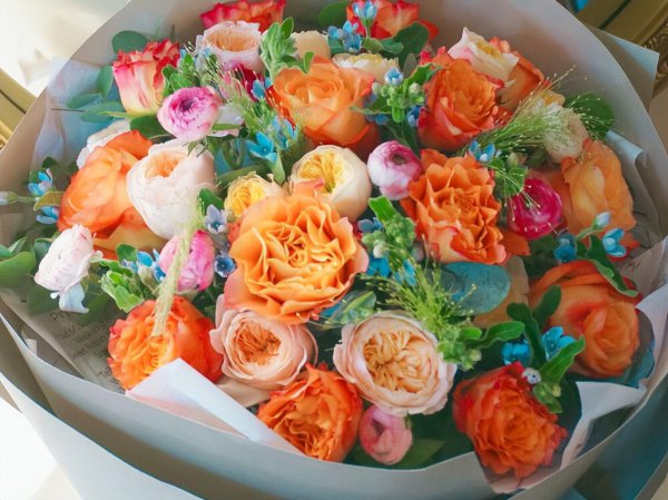 水瓶专治哪个星座