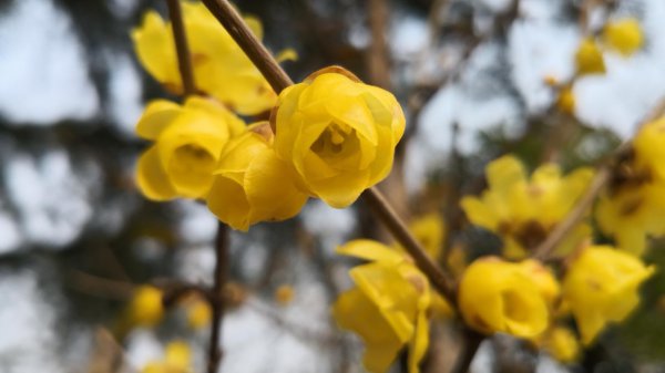 天蝎男吃醋的表现超准