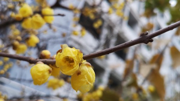 天蝎男吃醋的表现超准