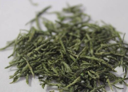 黄山毛峰属于什么茶类