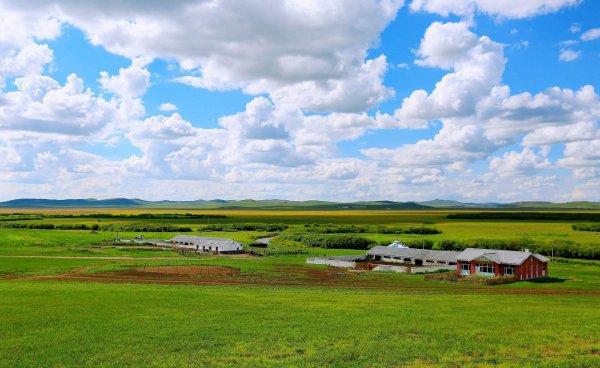 夏天适合去哪里旅游凉快