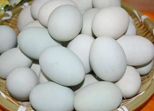 鸭蛋可以做肥料吗