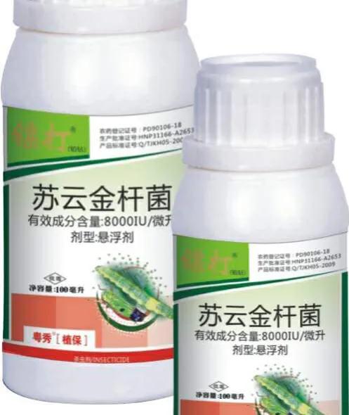 现在种小白菜怎样不让它长虫子