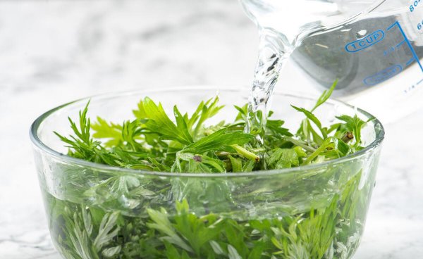 艾草能不能直接晒干