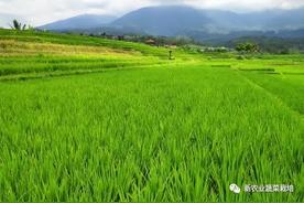 生态农业概念是什么