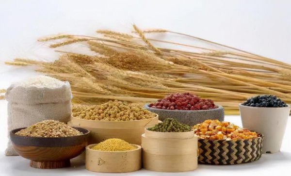 五谷杂粮是那几种食物