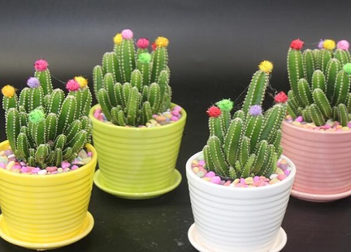 万重山会开花吗