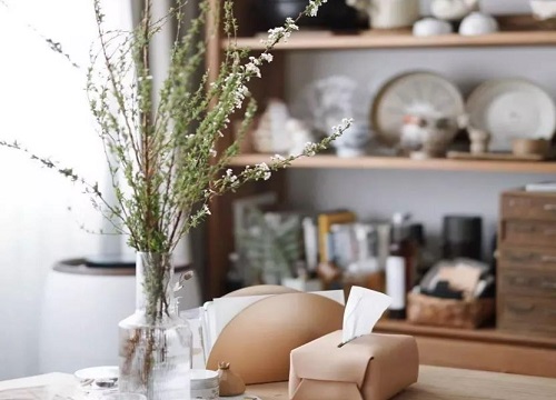 雪柳干枝怎么养能活多久