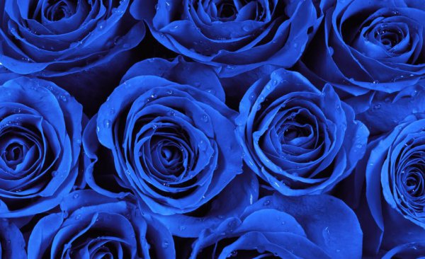 蓝色的含义和象征是什么