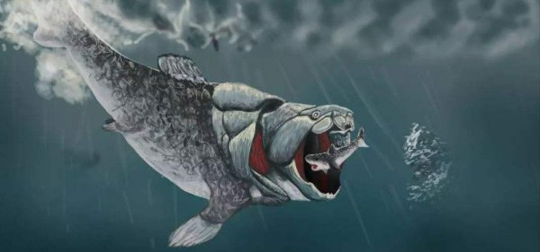 史上最强海洋十大霸主排名