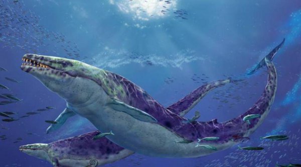 史上最强海洋十大霸主排名