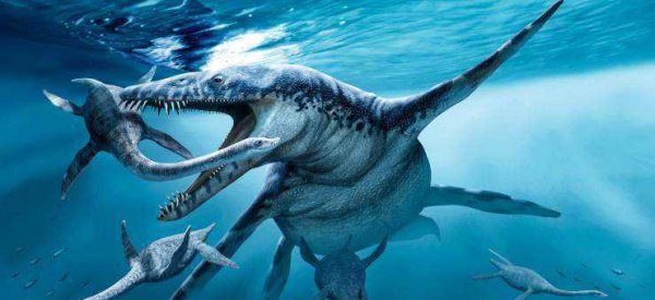 史上最强海洋十大霸主排名