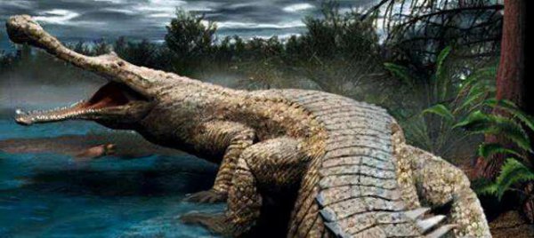 史上最强海洋十大霸主排名