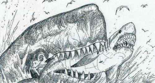 史上最强海洋十大霸主排名