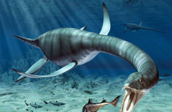 史上最强海洋十大霸主排名