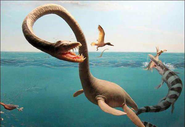 史上最强海洋十大霸主排名