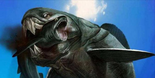 史上最强海洋十大霸主排名